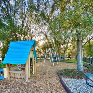 tioga town center playground playhouse and swings